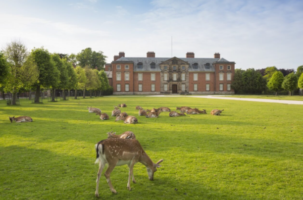 Discover immersive art, historic stories and family fun at Dunham Massey this summer