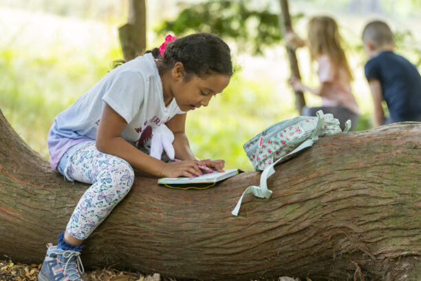 Enjoy a summer of creative play at Lyme Park