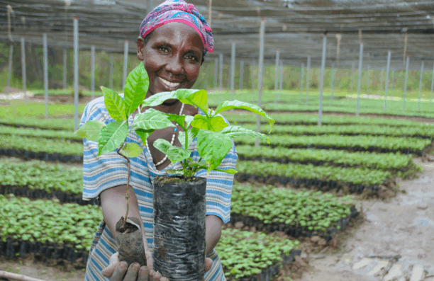 Ugandan coffee takes centre stage at Manchester Coffee Festival 2025